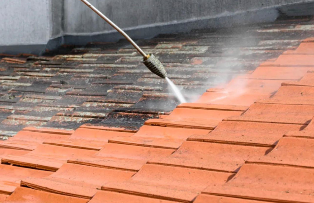 Roof Cleaning